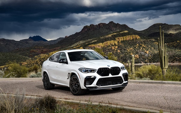 Is the 2021 BMW X6 Series an Automobile Engineering Marvel?  